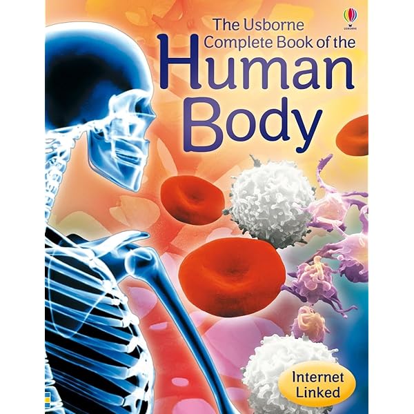 M4☆洋書 THE BODY BOOK 人形の本☆ Big Book of the Body: Minna Lacey, Peter Allen: 9780794535964